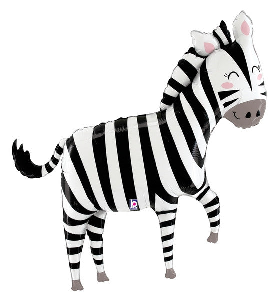 Zebra 43"