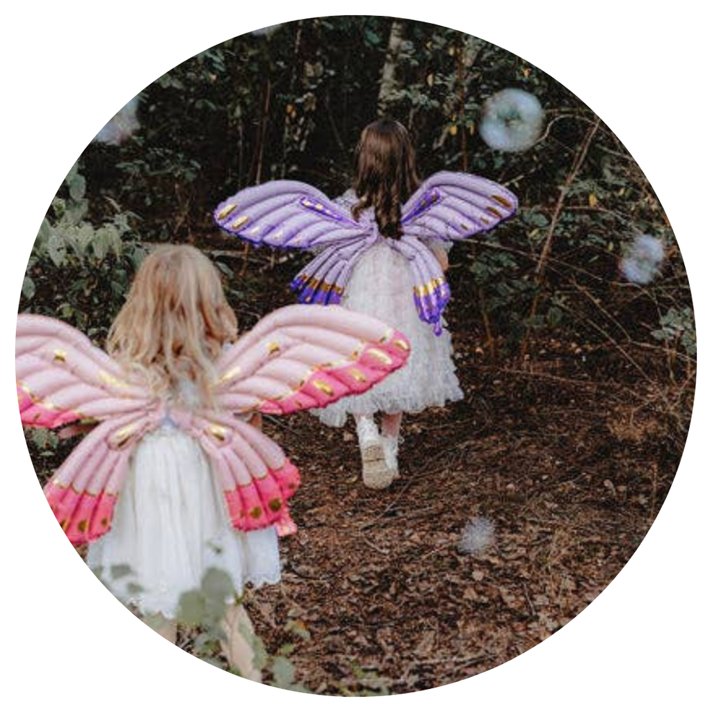 Butterfly Wings Pink