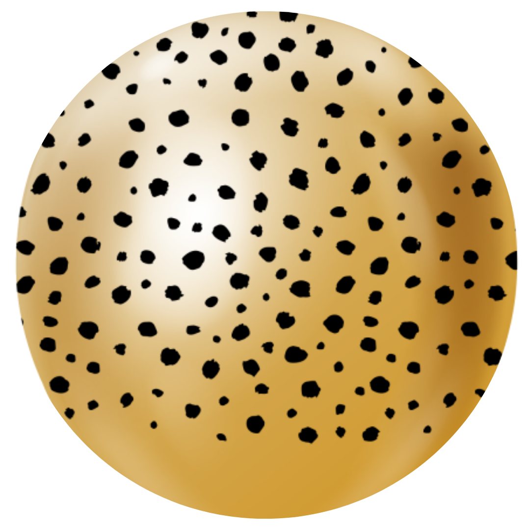 Safari Cheetah Mirror Gold w/Black